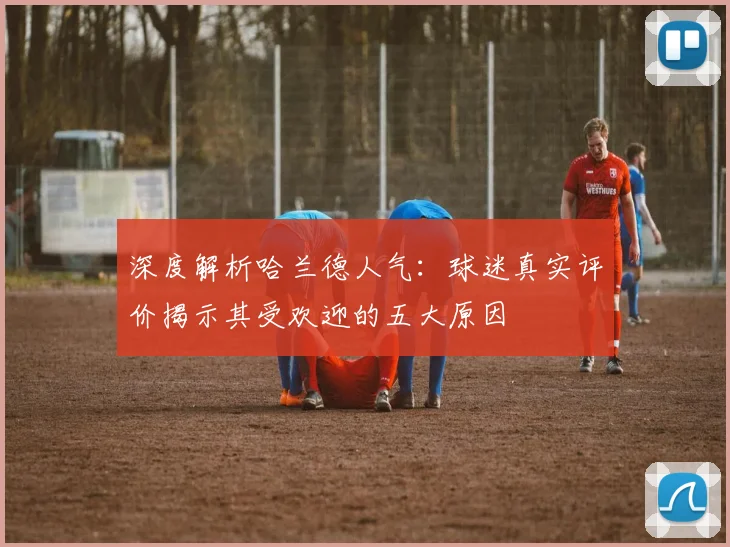 深度解析哈兰德人气：球迷真实评价揭示其受欢迎的五大原因